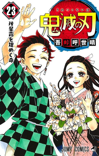 Demon Slayer: Kimetsu no Yaiba Vol.23 (Jump Comics) Manga **Japanese Language**