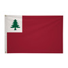 Continental Flag