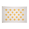 Fleur-de-lis Flag (White, 23 Gold Lilies)