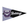Custom printed pennant nylon flag