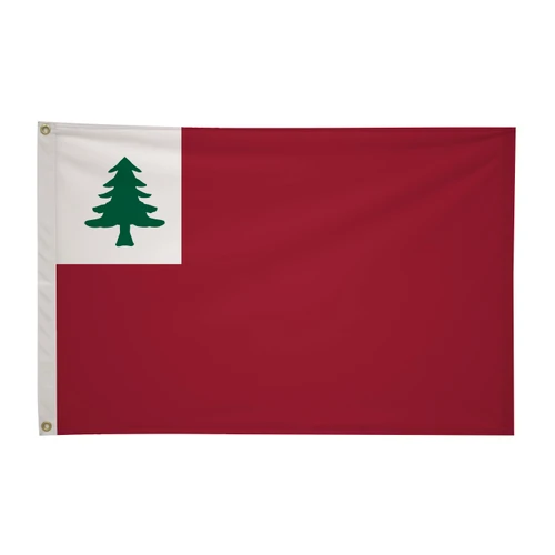 Continental Flag