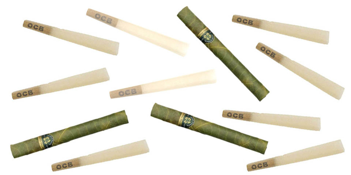 Why Mini Rolls Are the New Favorite for Smokers (4 Must-Try Picks)