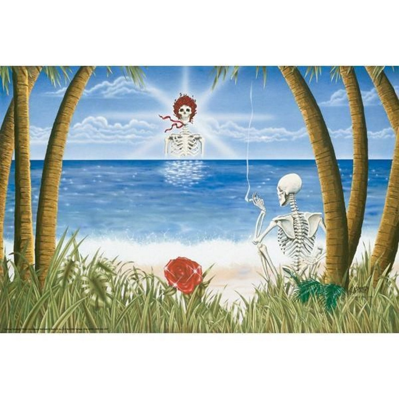 Grateful Dead Sunshine Daydream Poster | Music Legend Series