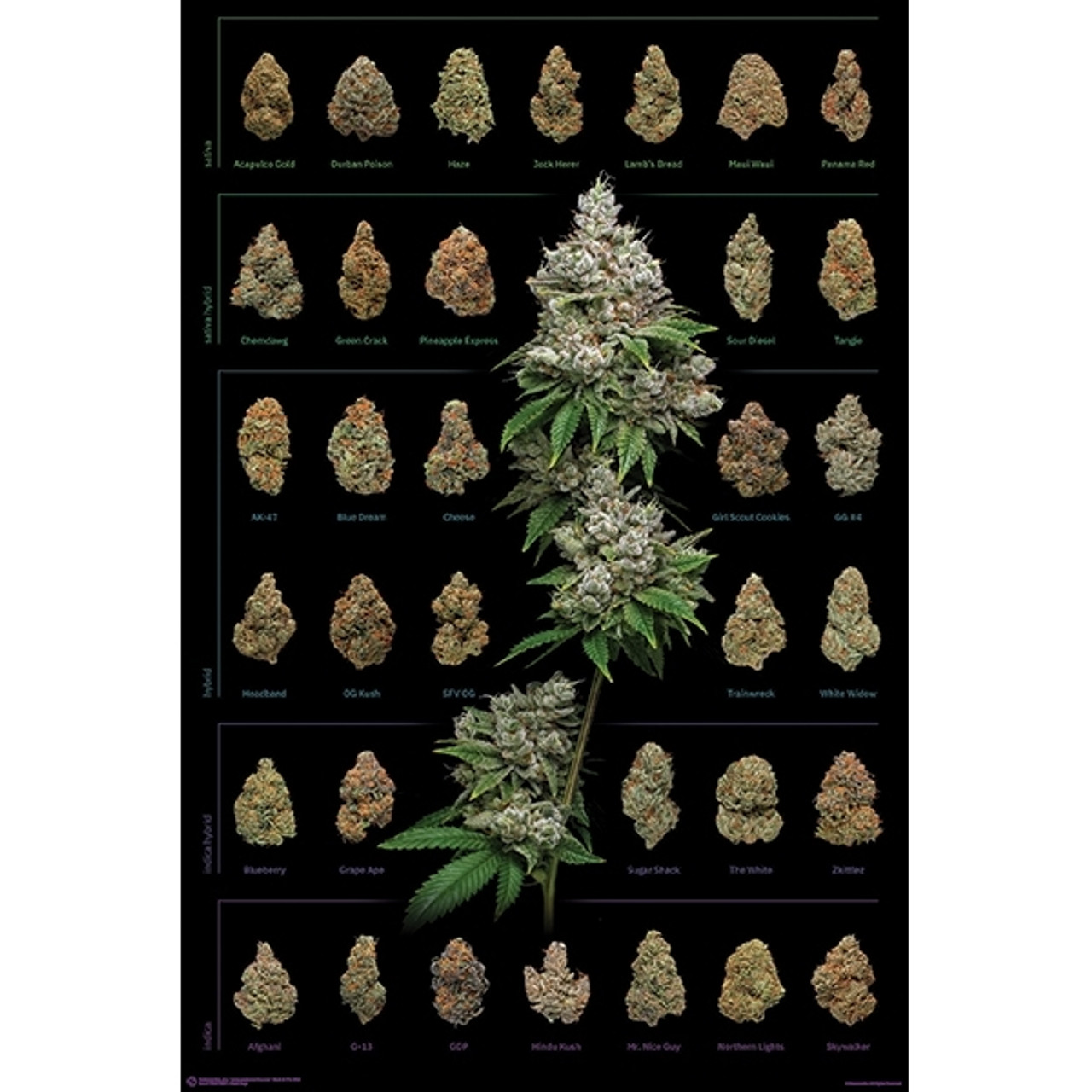 Bang weed Poster by WeedSplifs