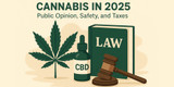 Americans Warm to Cannabis as Safety, Taxation, and Legal Fights Intensify in 2025