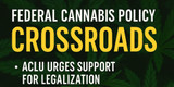 Federal Cannabis Legalization Faces Crossroads Amid State Bans and Congressional Gridlock