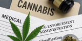 Federal Cannabis Rescheduling Debate & DEA Leadership: What's Really Going On?