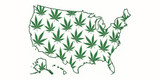 Federal Marijuana Rescheduling: What It Could Mean for the Cannabis Industry in 2025