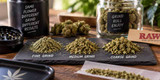 Fine Grind vs. Coarse Grind: Does Your Grinder Change the Way Weed Burns?