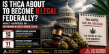 Is THCA About to Become Illegal Federally? What Happens in November/December 2026