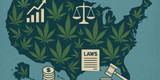 New Laws & Emerging Regulations on CBD, THC, and Hemp in the U.S. (2025-2026 Update)