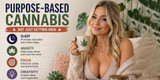 Purpose-Based Cannabis in 2026: Sleep, Anxiety, Focus & More