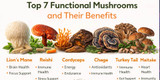 Top 7 Functional Mushrooms and Their Benefits: Lion’s Mane, Reishi, Cordyceps and More