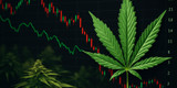 Why Are Cannabis Stocks Still Failing While the Industry Grows?