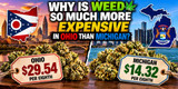 Why Is Weed So Much More Expensive in Ohio Than Michigan?