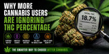 Why More Cannabis Users Are Ignoring THC Percentage in 2026