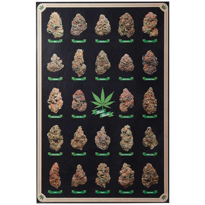 Best Buds Marijuana Strains poster.