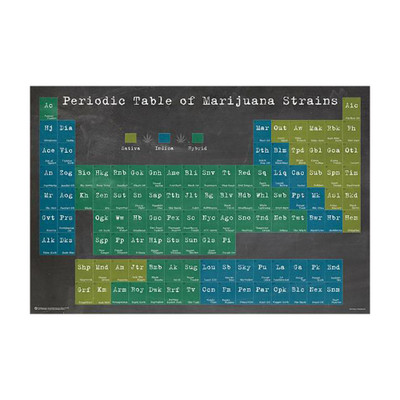Periodic Table of Marijuana Strains Poster for sale unrolled for a complete view.