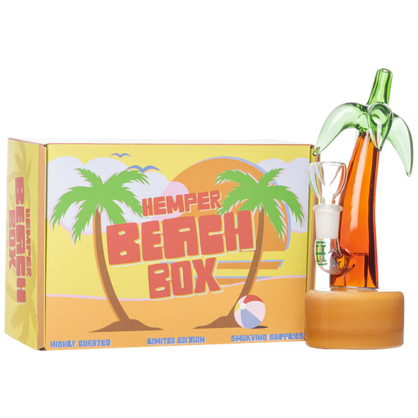 Hemper 7" Palm Tree Bong standing next to its collectible box. Novelty palm tree themed water bong.