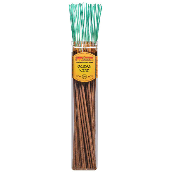 50 refreshing Ocean Wind-scented Wild Berry Biggies Incense Sticks in a labeled jar with their signature blue-green-colored sticks emerging at the top.