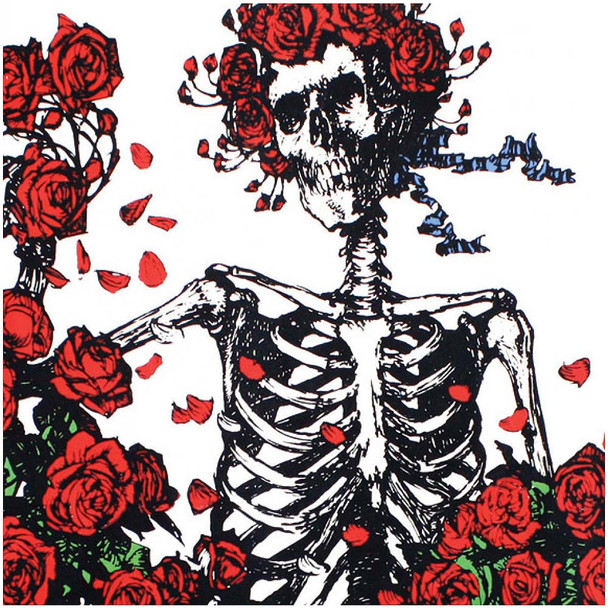 Detail view of the artwork, inspired from the first Grateful Dead album cover art.