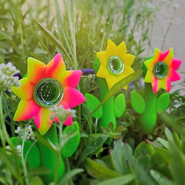 Three silicone sunflower hand pipes outside.