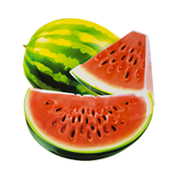 Watermelon Wave icon, slices of watermelon.