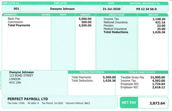 Sage Green Paper Payslips With Employee Address