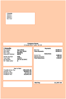 Orange Mailer ePayslips With Employee And Employer Address