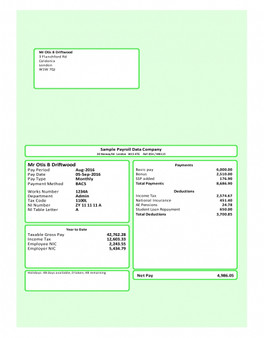 Green Mailer ePayslips With Employee And Employer Address