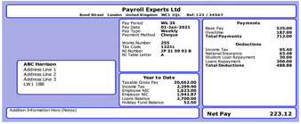 Blue ePayslips With Employee And Employer Address