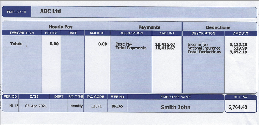 Blue Standard Paper Payslips