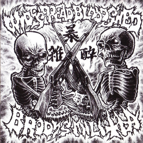 BRODY'S MILITIA / WIDESPREAD BLOODSHED - Split CD