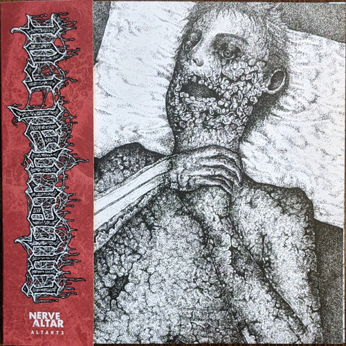 INTERNAL ROT / MUTILATED COP - Split 7" INTERNAL ROT / MUTILATED COP - Split 7"