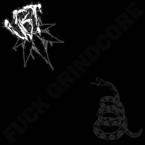 VAGINAL BEAR TRAP - "F*ck Grindcore" CD