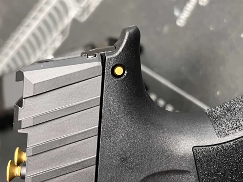P365 Receiver Pin - GOLD PVD