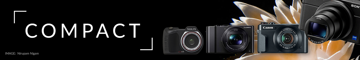 Best Underwater Compact Camera