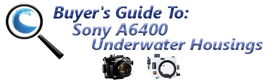 Buyers Guide for Sony a6400 Underwater Housing