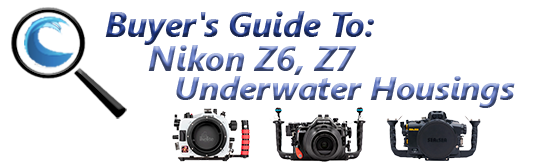 Why the Nikon Z7 is My New Favorite Underwater Camera - Underwater  Photography Guide