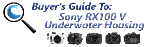 Sony RX100 V/VA Underwater Housing Guide