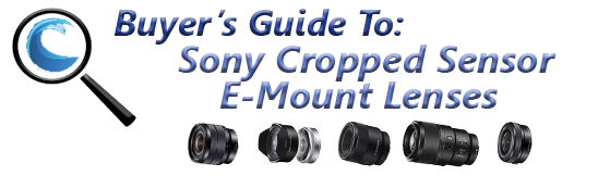 Best Sony E-Mount Lenses for Underwater