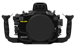 200DL Underwater Housing for Nikon D500 DSLR Cameras