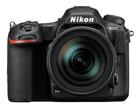 best dslr 2016