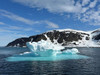  Svalbard Polar Bears May 2025 