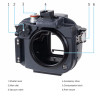 Inon X-2 Canon R5 Mk II Underwater Housing