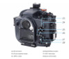 Inon X-2 Canon R5 Mk II Underwater Housing