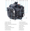 Inon X-2 Canon R5 Mk II Underwater Housing