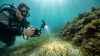 Divevolk SeaTouch 4 Max Plus Advanced Macro Kit