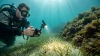 Divevolk SeaTouch 4 Max Plus Advanced Macro Kit 
