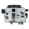 Ikelite Canon R6 V 200DL Underwater Housing